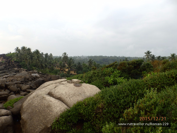 photo 1262582