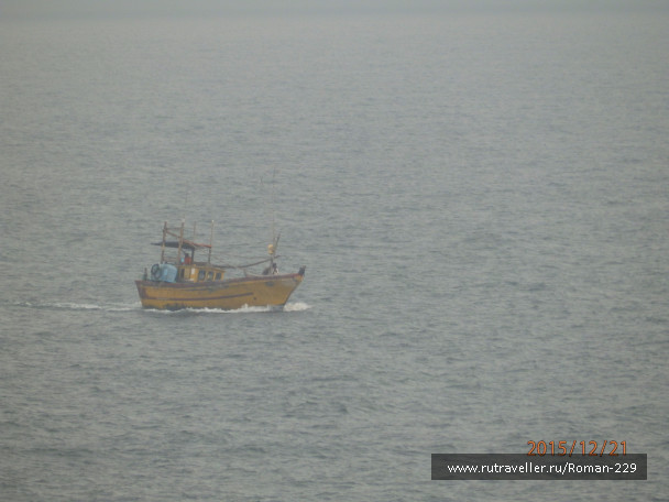 photo 1262584