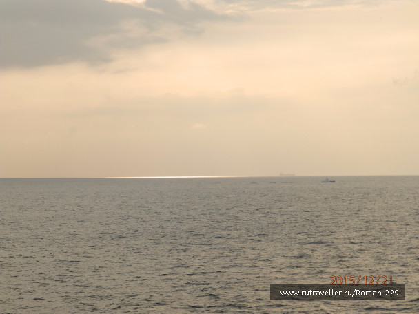photo 1262585