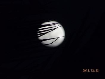 photo 1266226