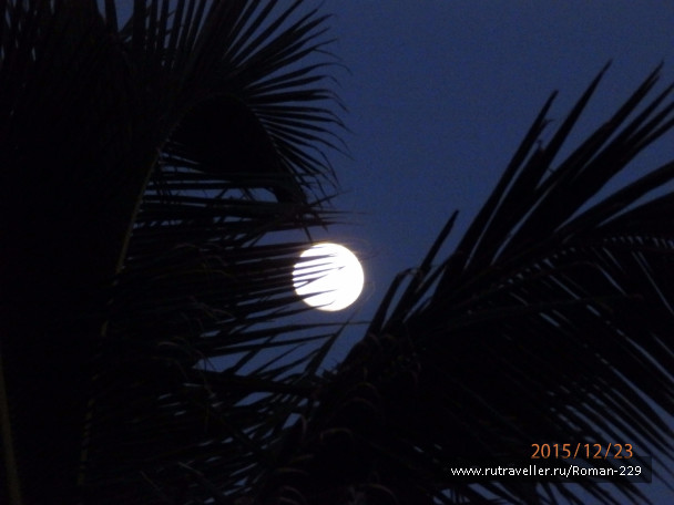 photo 1266227