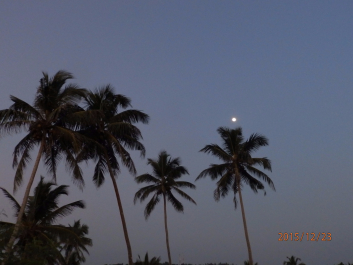 photo 1266228