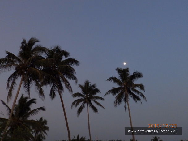 photo 1266228