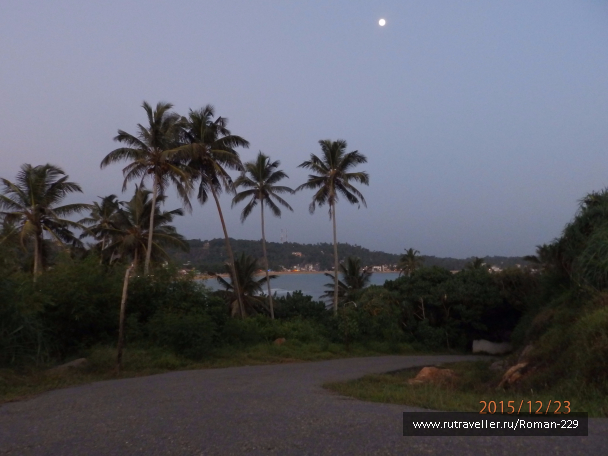 photo 1266231