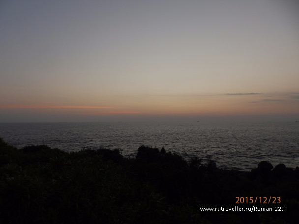 photo 1266233