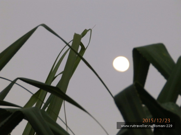 photo 1266235