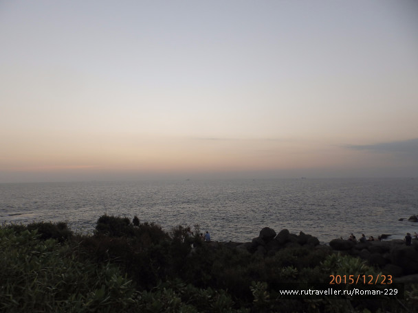 photo 1266238