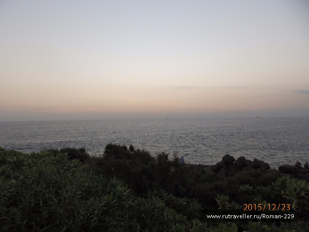 photo 1266239
