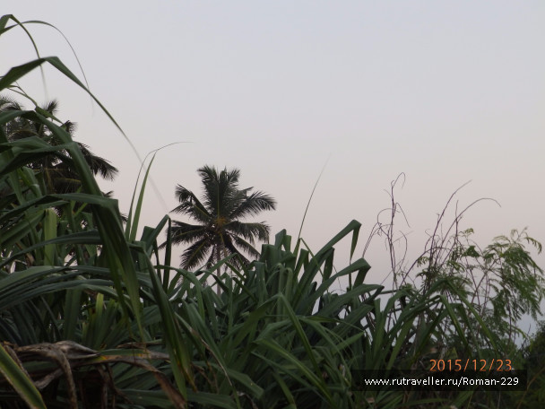 photo 1266241