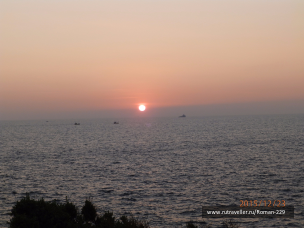 photo 1266254