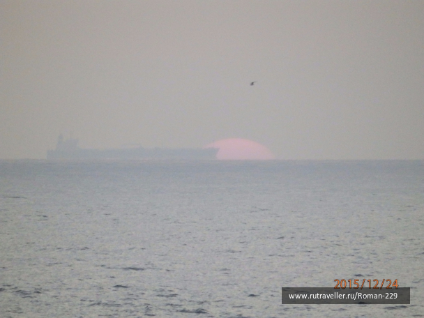 photo 1266511