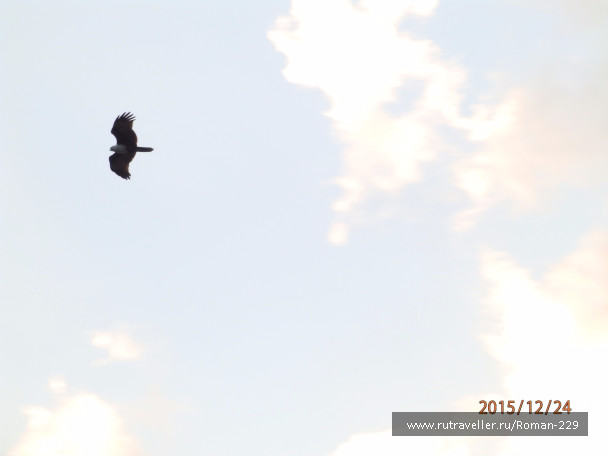 photo 1266532