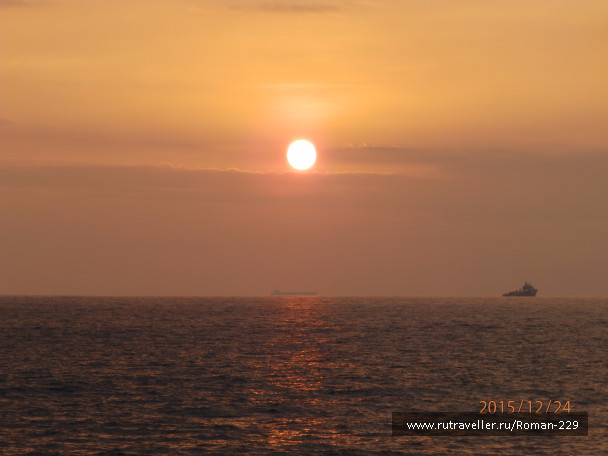 photo 1266534