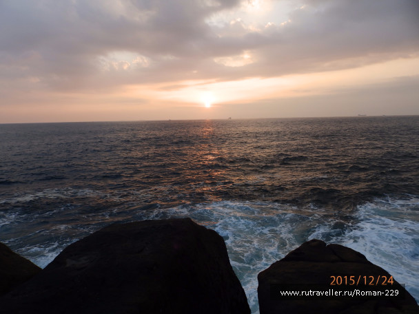 photo 1266535