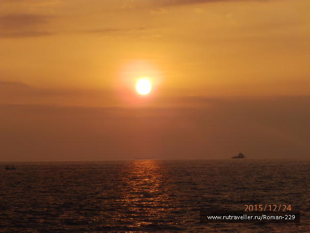 photo 1266539