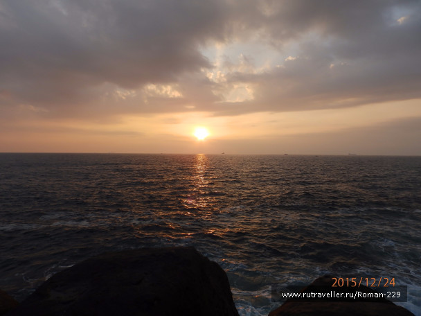 photo 1266541
