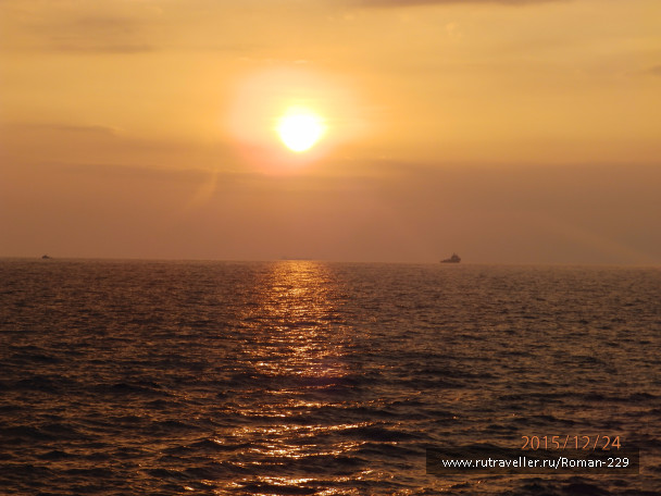 photo 1266542