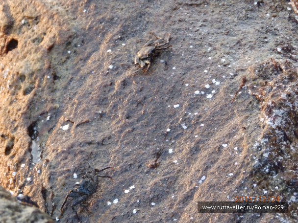 photo 1266551