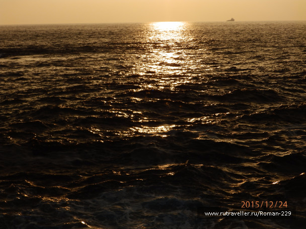 photo 1266563