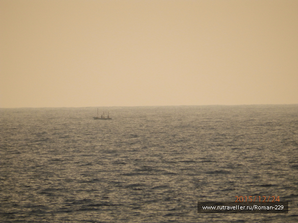 photo 1266584