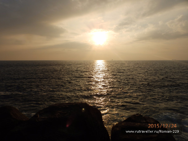 photo 1266587