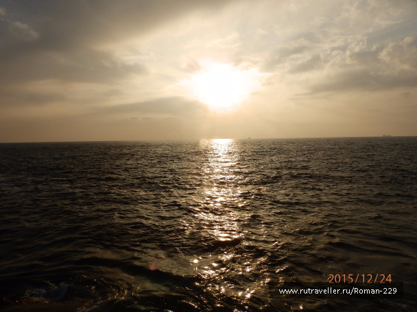 photo 1266593