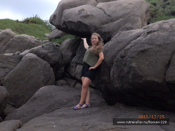 photo 1267993