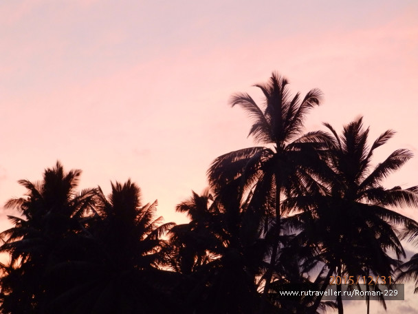 photo 1271742