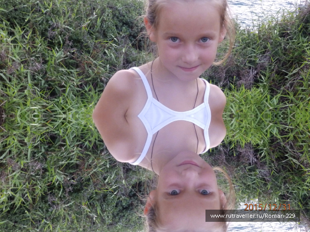 photo 1271747