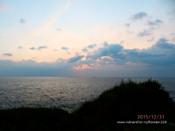 photo 1271753