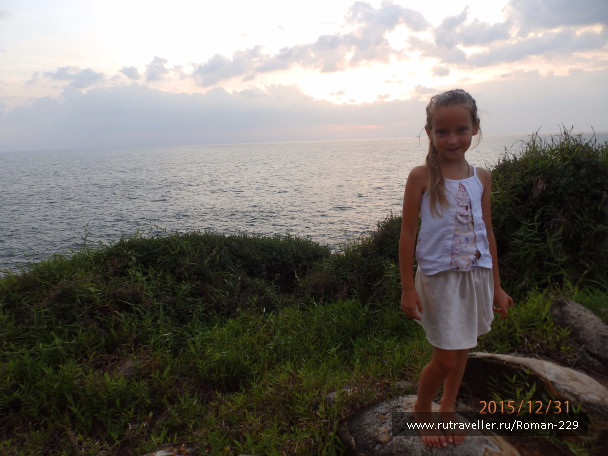 photo 1271762