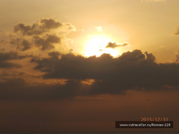 photo 1271772