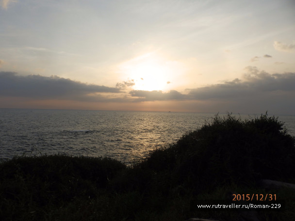 photo 1271775