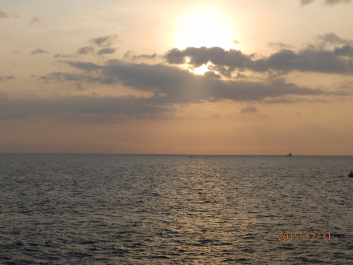 photo 1271785