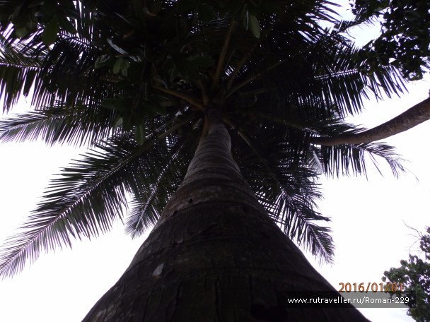 photo 1272367
