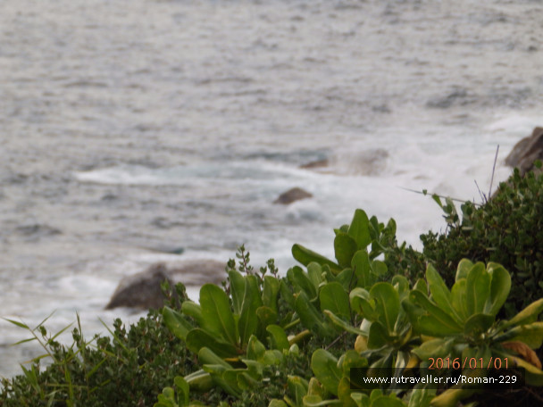 photo 1272378