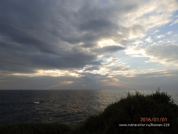 photo 1272391