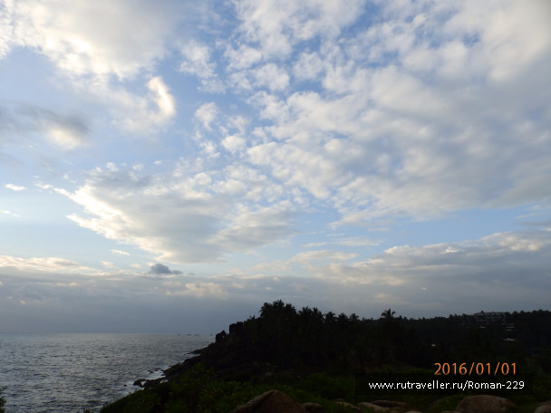 photo 1272397