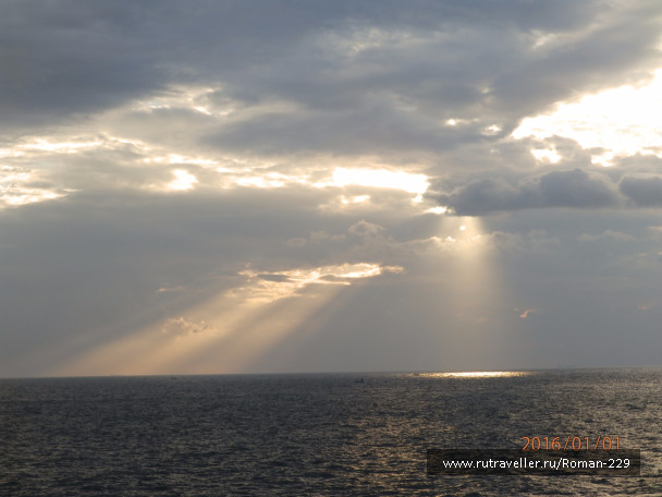 photo 1272398