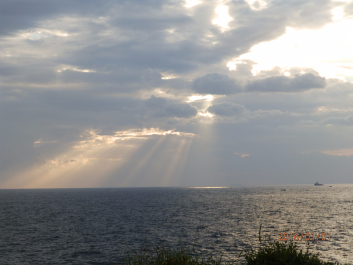 photo 1272402