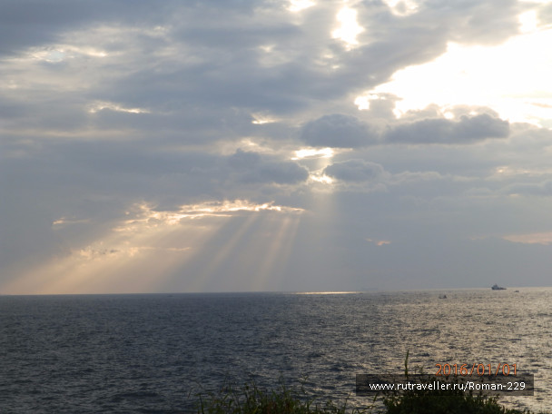 photo 1272402
