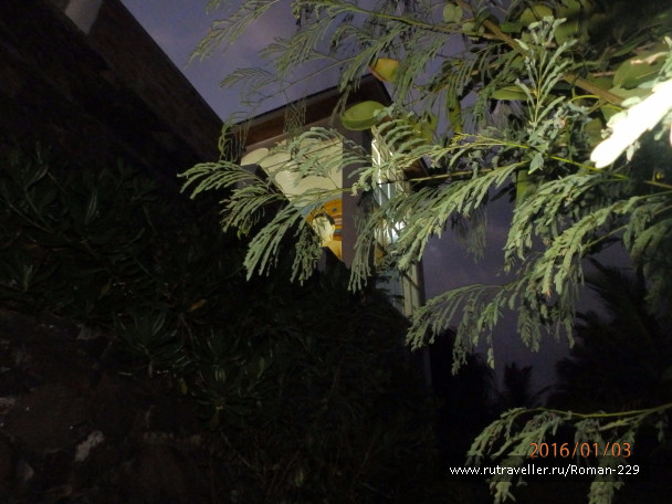 photo 1273552