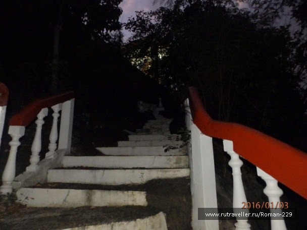 photo 1273553