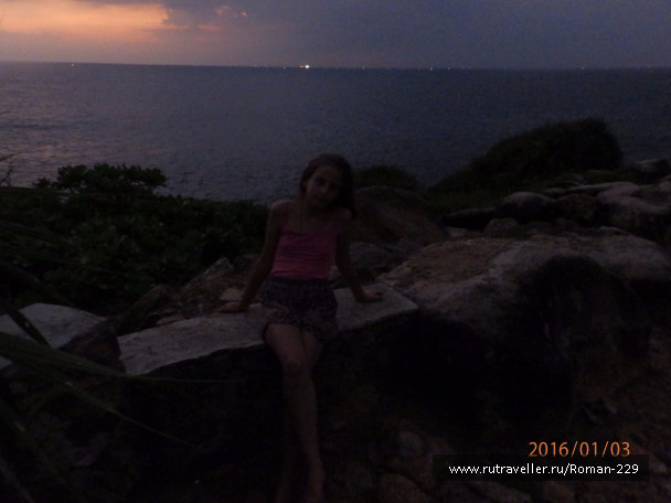 photo 1273555