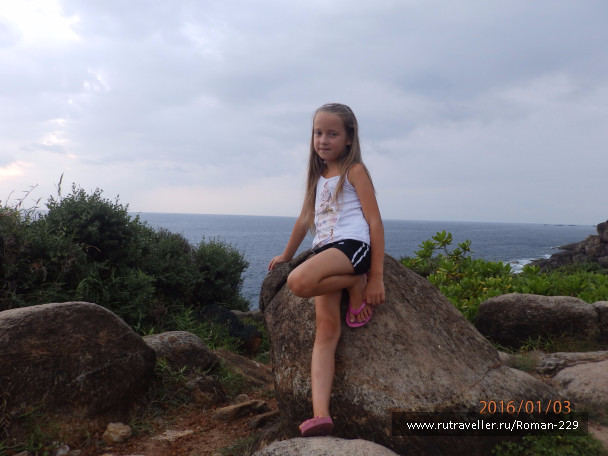 photo 1273561