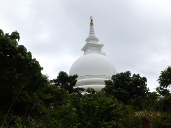 photo 1261646