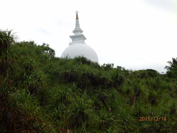 photo 1261647
