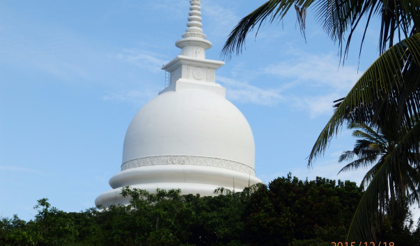 PC180539
