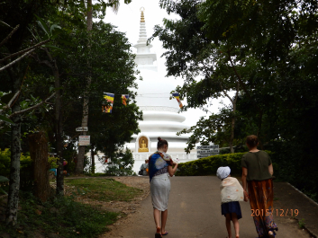 photo 1262006