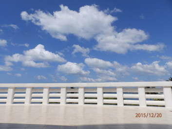 photo 1262376